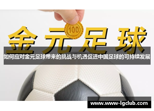 如何应对金元足球带来的挑战与机遇促进中国足球的可持续发展