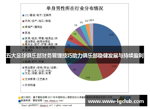 五大足球俱乐部财务管理技巧助力俱乐部稳健发展与持续盈利