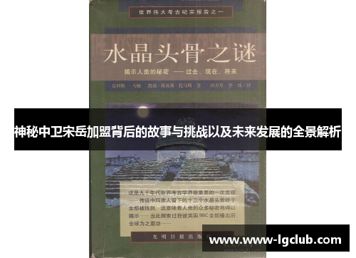 神秘中卫宋岳加盟背后的故事与挑战以及未来发展的全景解析