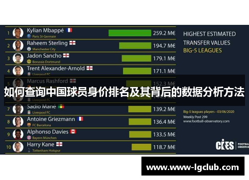 如何查询中国球员身价排名及其背后的数据分析方法