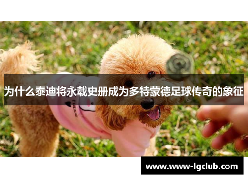 为什么泰迪将永载史册成为多特蒙德足球传奇的象征