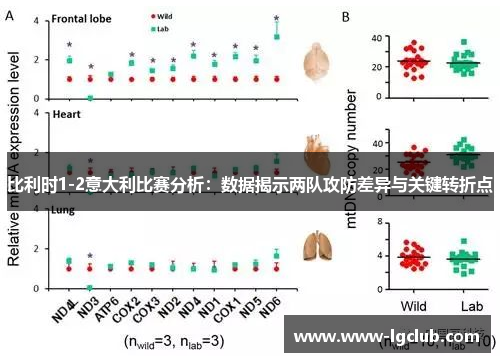 比利时1-2意大利比赛分析：数据揭示两队攻防差异与关键转折点