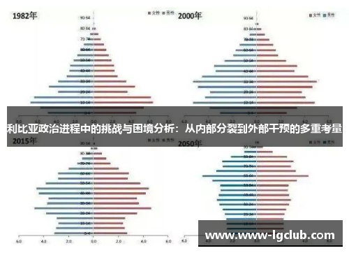 利比亚政治进程中的挑战与困境分析：从内部分裂到外部干预的多重考量