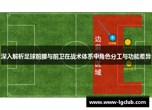 深入解析足球前腰与前卫在战术体系中角色分工与功能差异