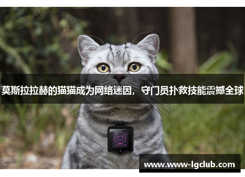 莫斯拉拉赫的猫猫成为网络迷因,守门员扑救技能震撼全球 莫斯拉拉赫的猫猫成为网络迷因,守门员扑救技能震撼全球