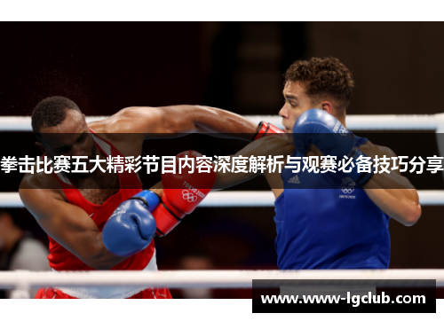 拳击比赛五大精彩节目内容深度解析与观赛必备技巧分享
